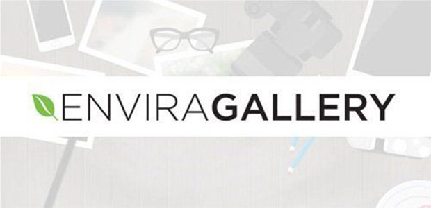 best wordpress design plugins for photographers envira gallery