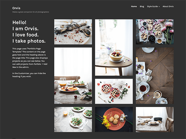 best photography wordpress themes orvis