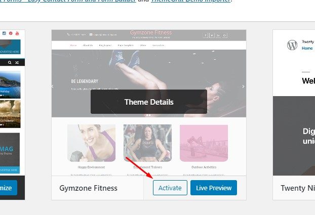 Activate WordPress Theme