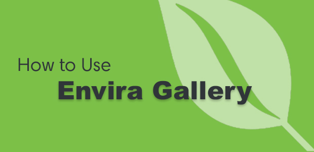 How to Use Envira Gallery