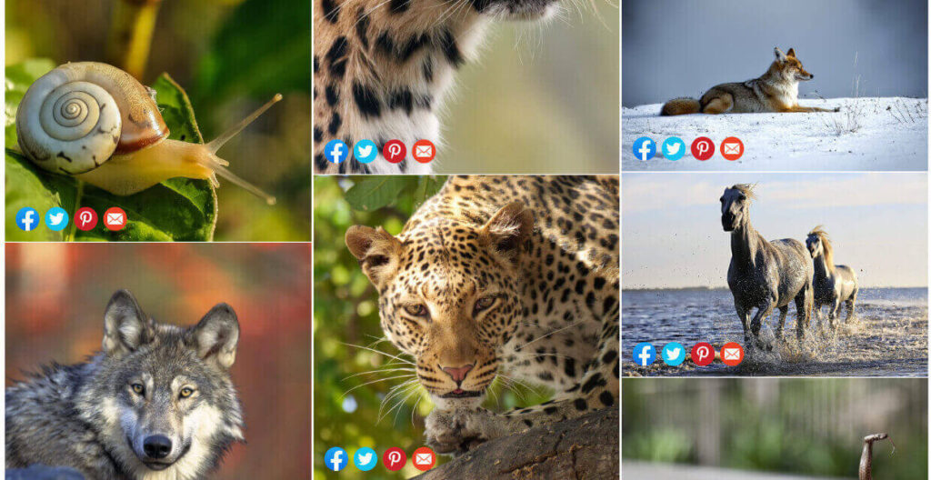 Social share - image thumbnails with icons