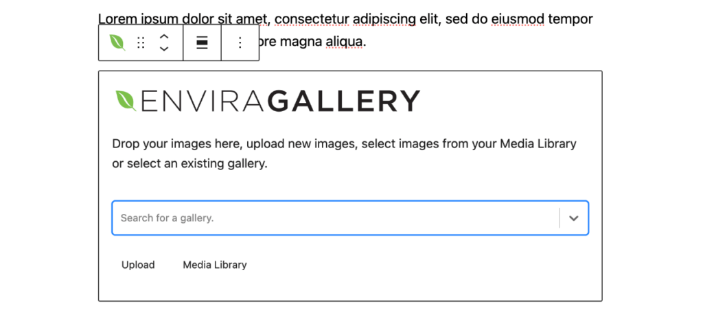 Envira Gallery Gutenberg block search for gallery