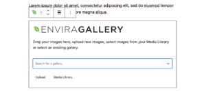 Envira Gallery Gutenberg block search for gallery