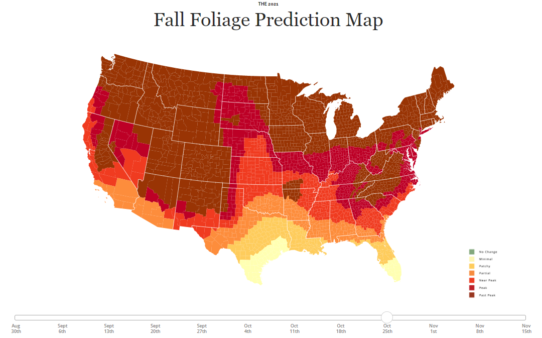 Peak Fall Foliage Oct 2021 - Envira Gallery