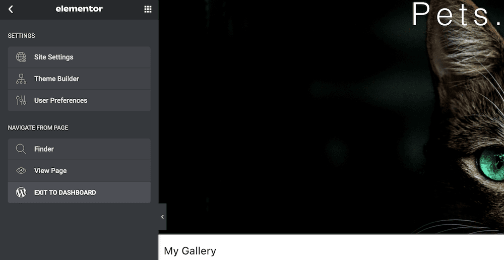 The Elementor settings showing EXIT TO DASHBOARD.