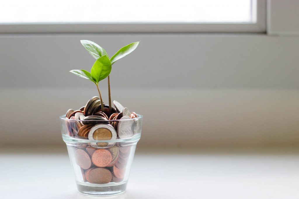 A plant placed in a pot filled with coins 