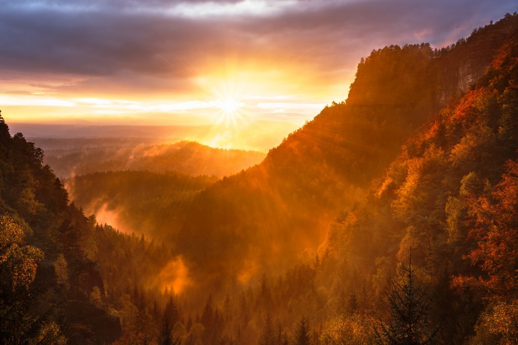 Hilltop view at the golden hour during the fall season