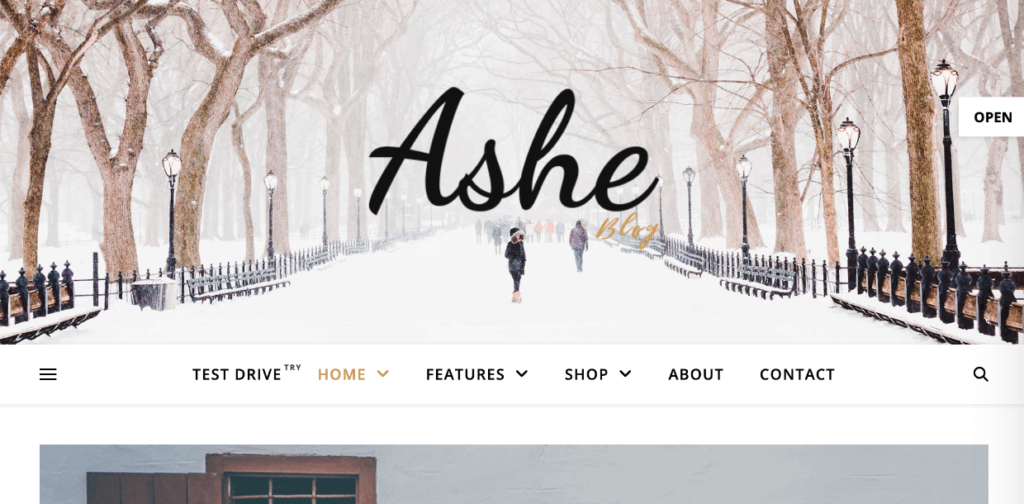 Ashe - free WordPress photography themes