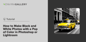 Black and White with One Color Pop: Lightroom & Photoshop Guide