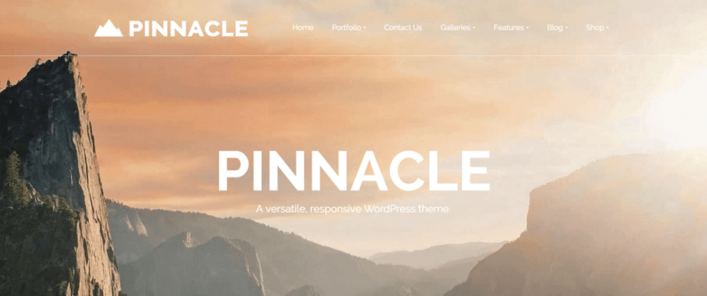 Pinnacle - free WordPress photography theme