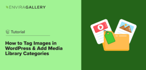 How to Tag Images in WordPress & Add Media Library Categories
