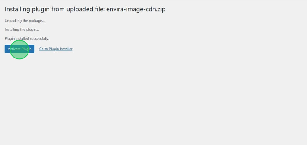 Activate Envira CDN Plugin