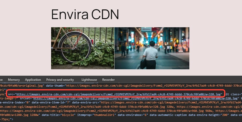 Check If Image are being Served by Envira