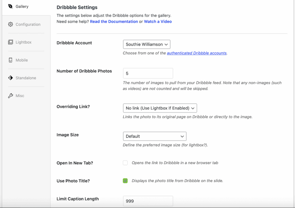 Dribbble-gallery-settings 1 1 - Envira Gallery Settings for Dribbble gallery in Envira
