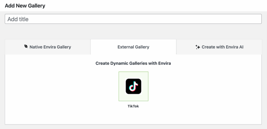 External-gallery-TikTok - Envira Gallery Create external gallery from TikTok