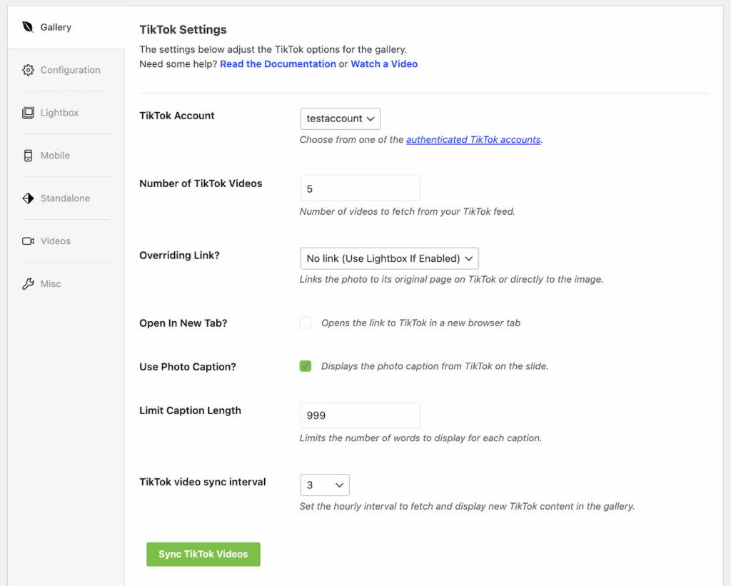 TikTok-gallery-settings - Envira Gallery TikTok gallery settings