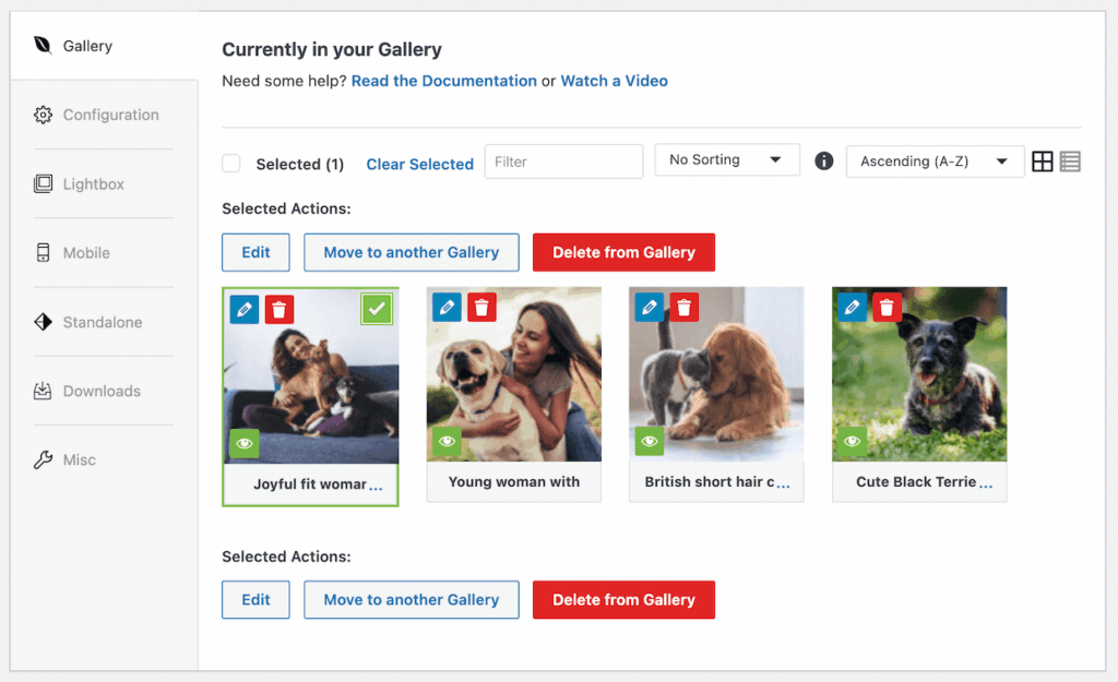 added-envira-gallery-images - Envira Gallery Gallery images in Envira