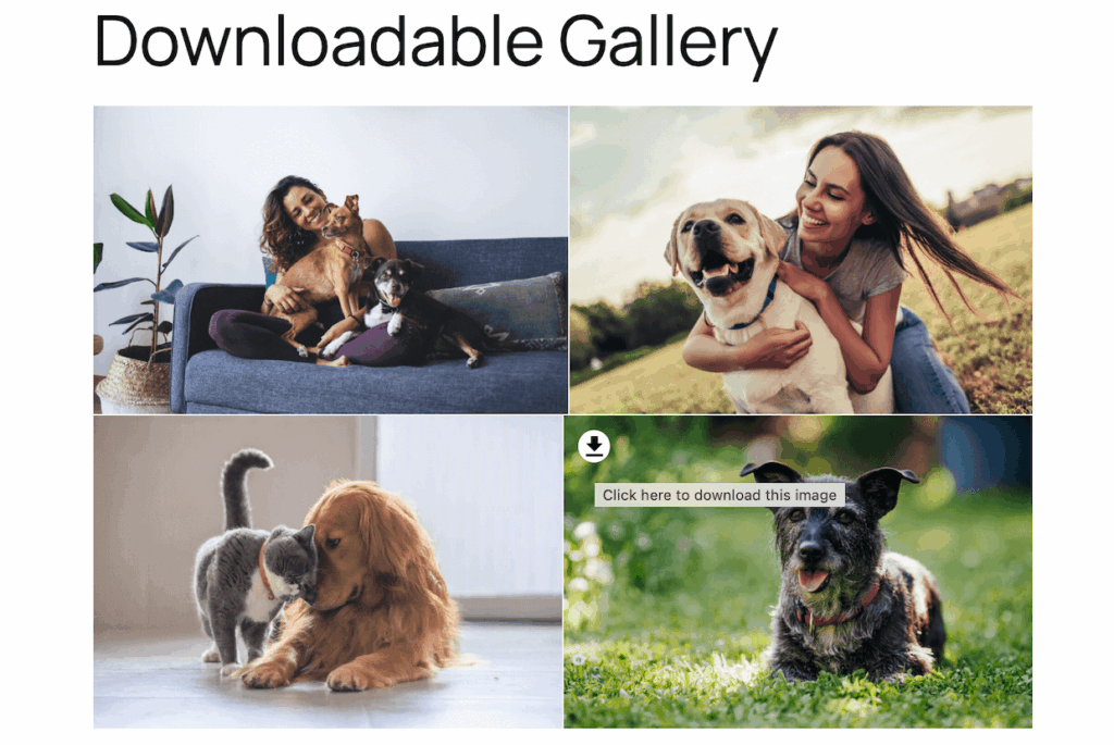 download-gallery-image-wordpress - Envira Gallery The gallery download button for a grid layout gallery