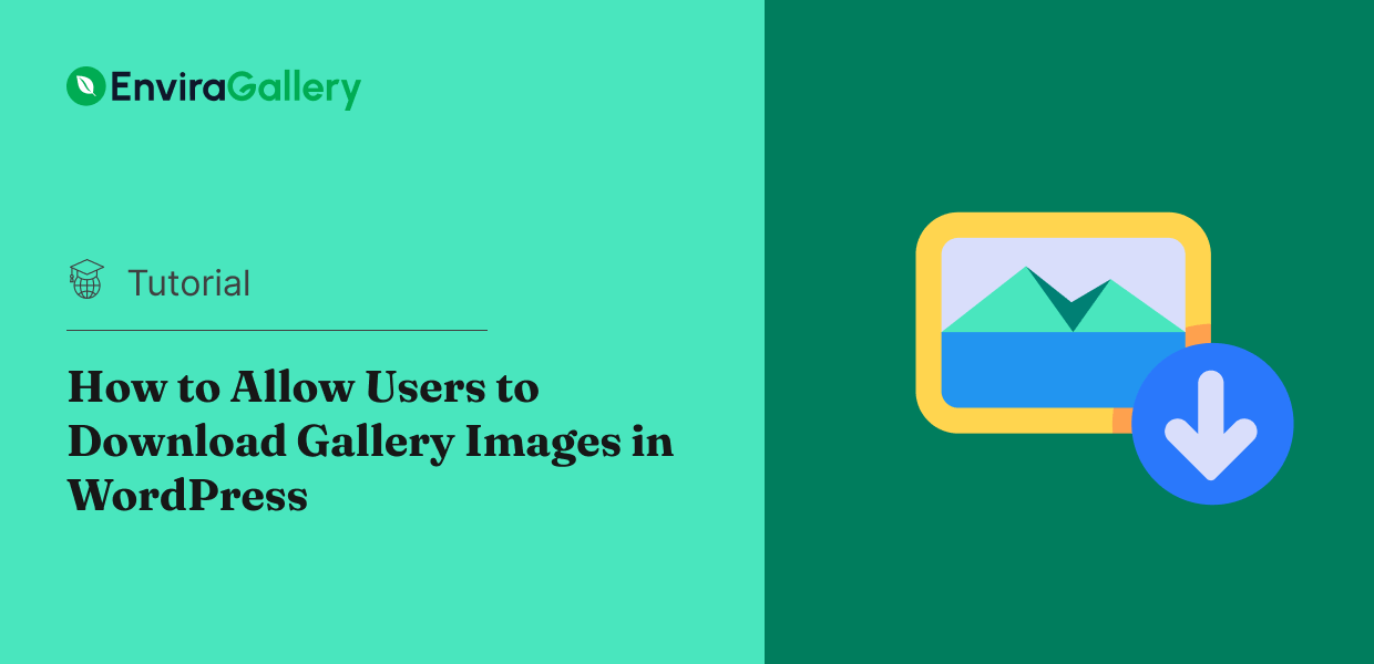 download-gallery-images-featured-image - Envira Gallery How to Allow Users to Download Gallery Images in WordPress - featured image