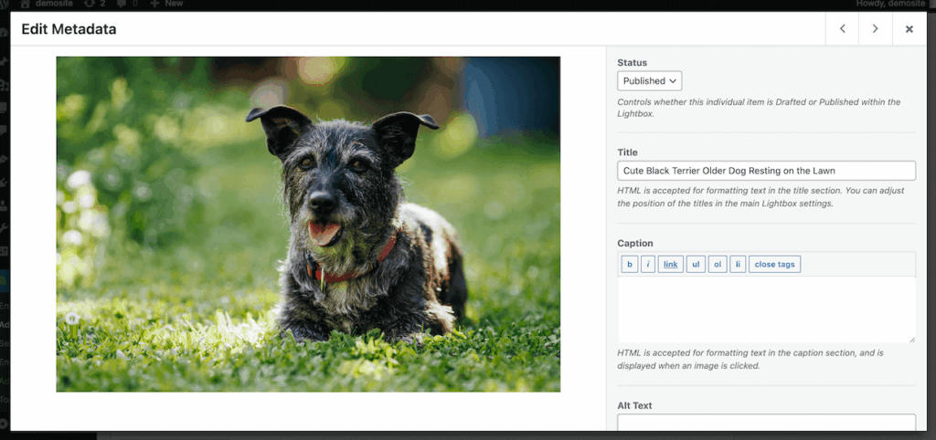 edit-metadata-envira-gallery - Envira Gallery Edit Metadta in Envira Gallery