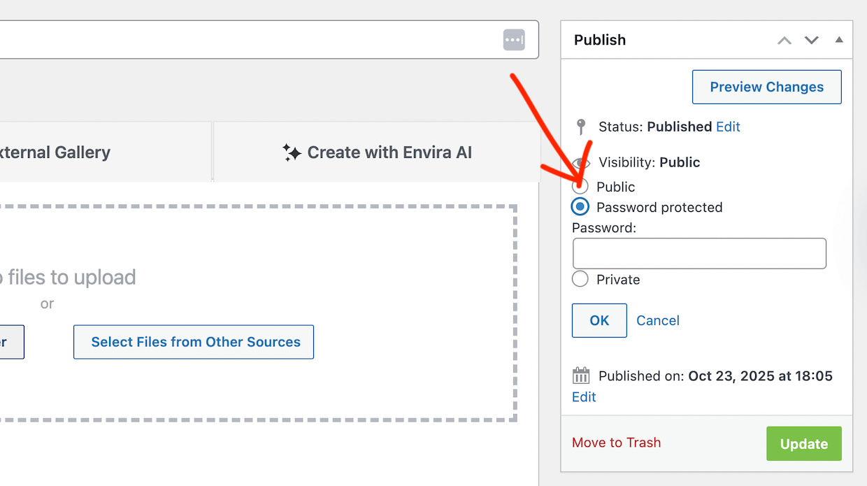 Envira gallery Publish box with Password protected selected under Visibility and an empty password field