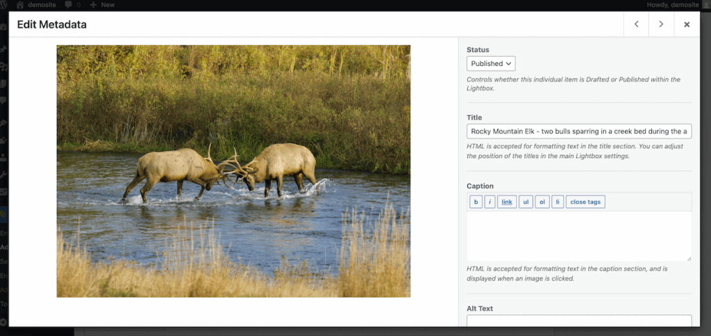 Editing image date in Envira Gallery settings