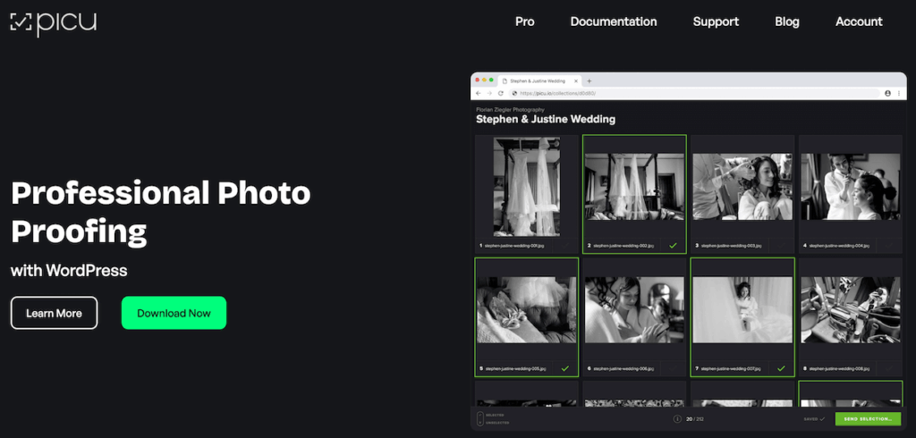 picu-homepage - Envira Gallery Picu homepage