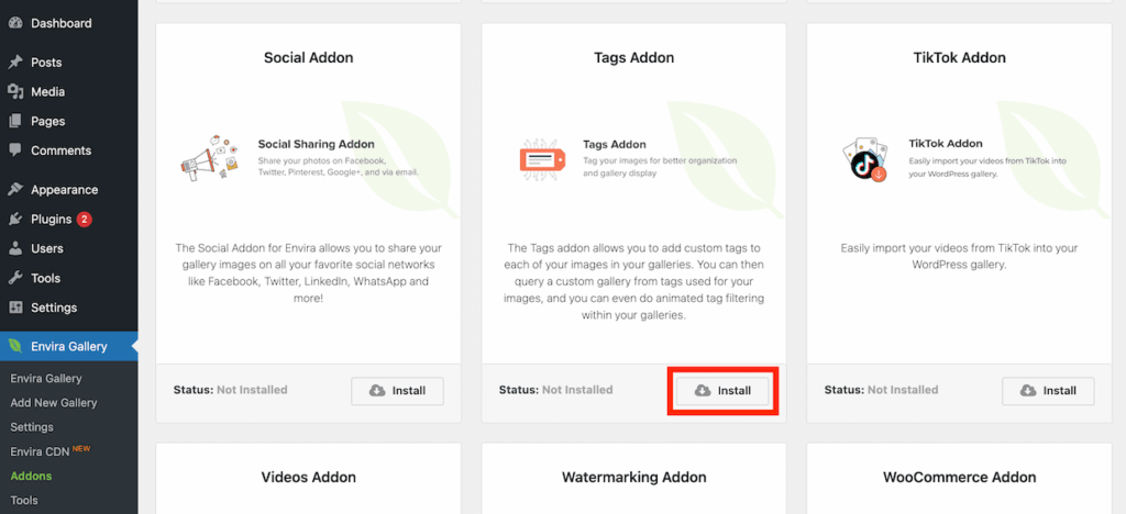 Installing the Tags addon Envira