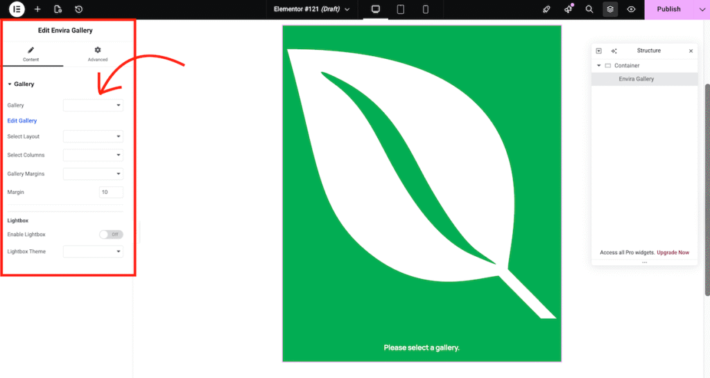 Editing the envira gallery widget in elementor