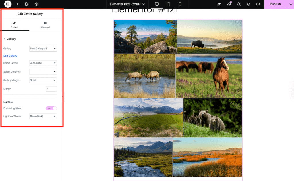 envira elementor gallery widget's content tab