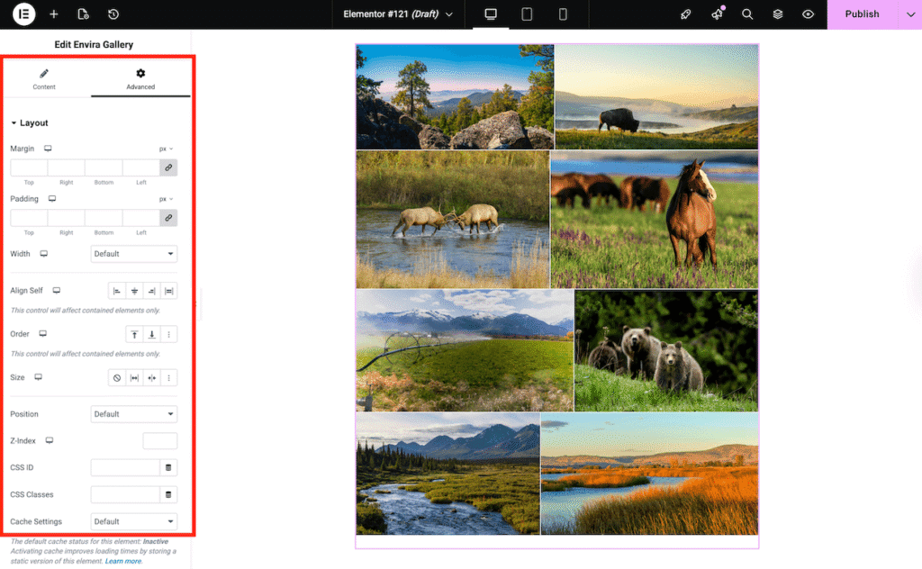 envira elementor widget's advanced settings