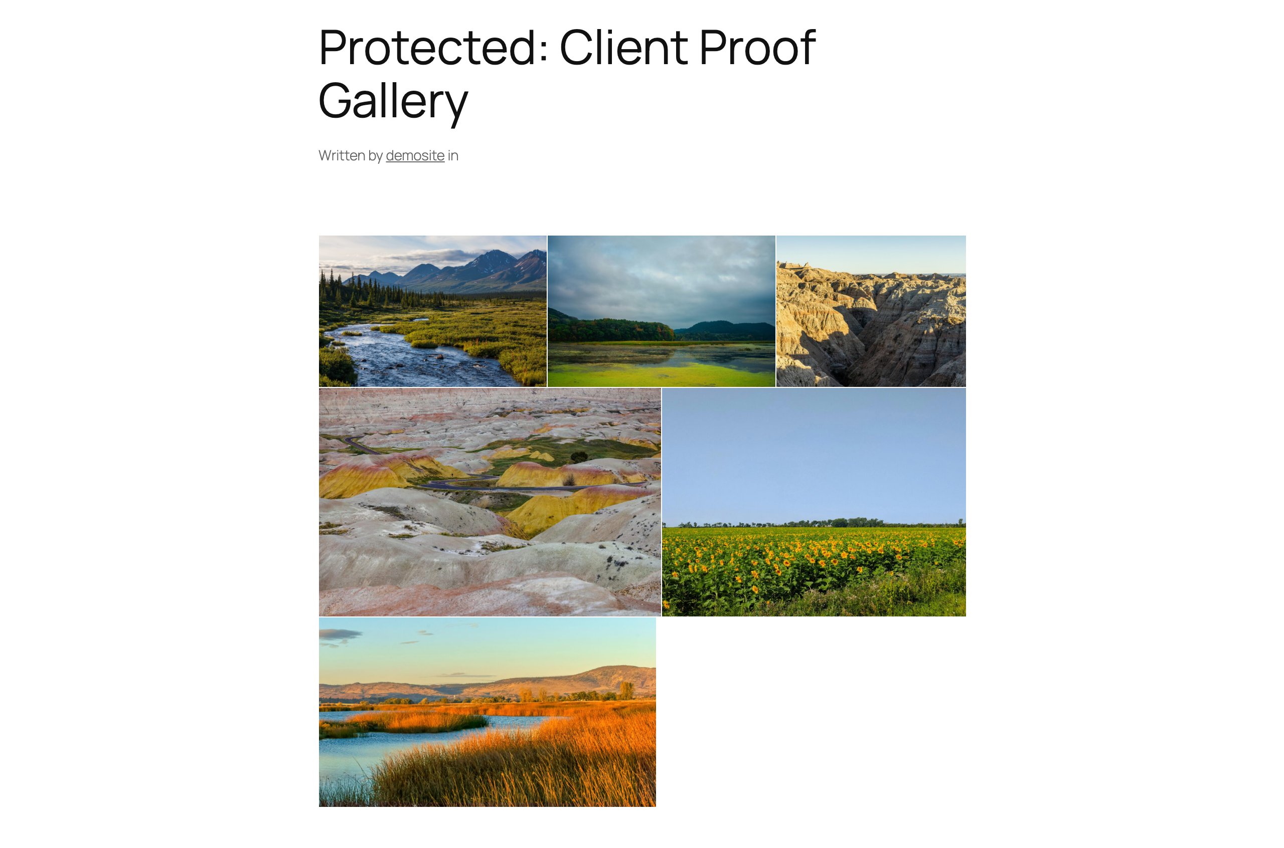 Client Proof Gallery revealed in WordPress after correct password entry, showing a mosaic grid of six landscape photos