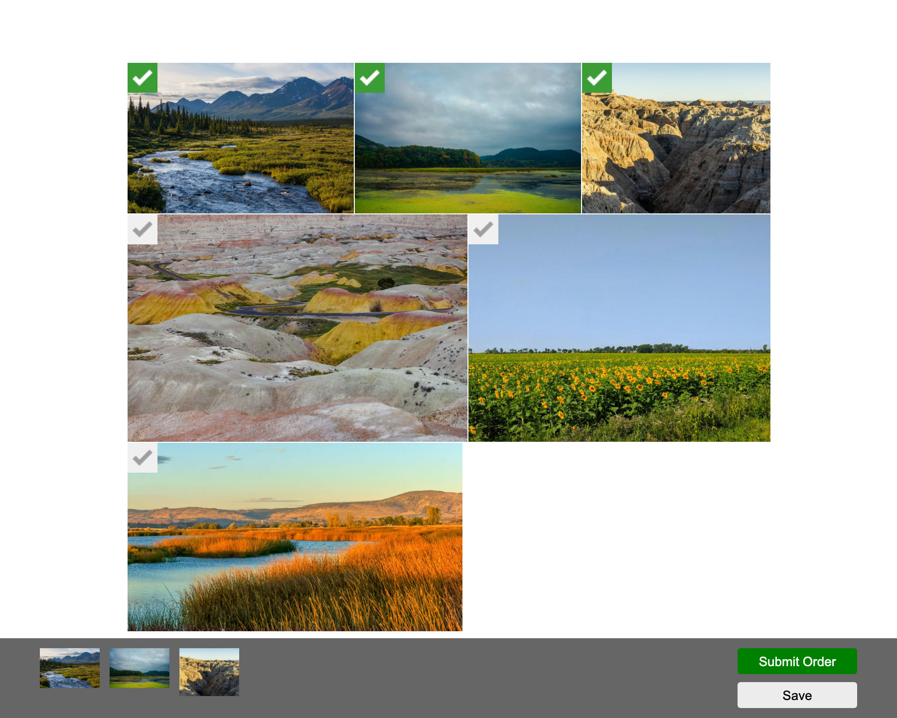 Client proofing gallery showing selected photos with green checkmarks and the Submit Order bar