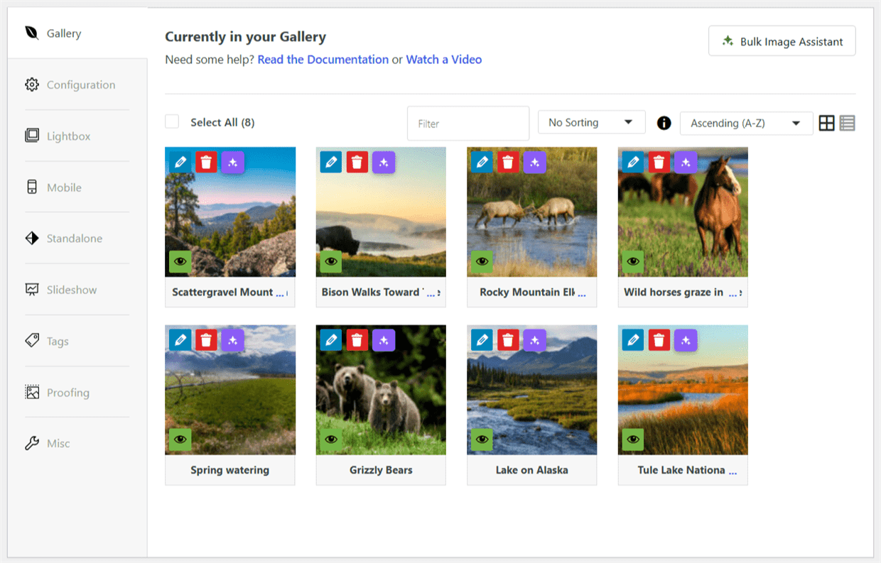 Envira Gallery editor showing sparkle icon on image thumbnails and Bulk Image Assistant button