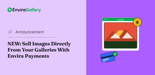 NEW: Sell Images Directly From Your Galleries With Envira Payments NEW: Sell Images Directly From Your Galleries With Envira Payments