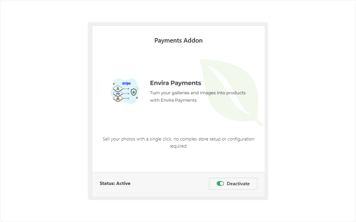 Envira Payments addon activated and ready to use