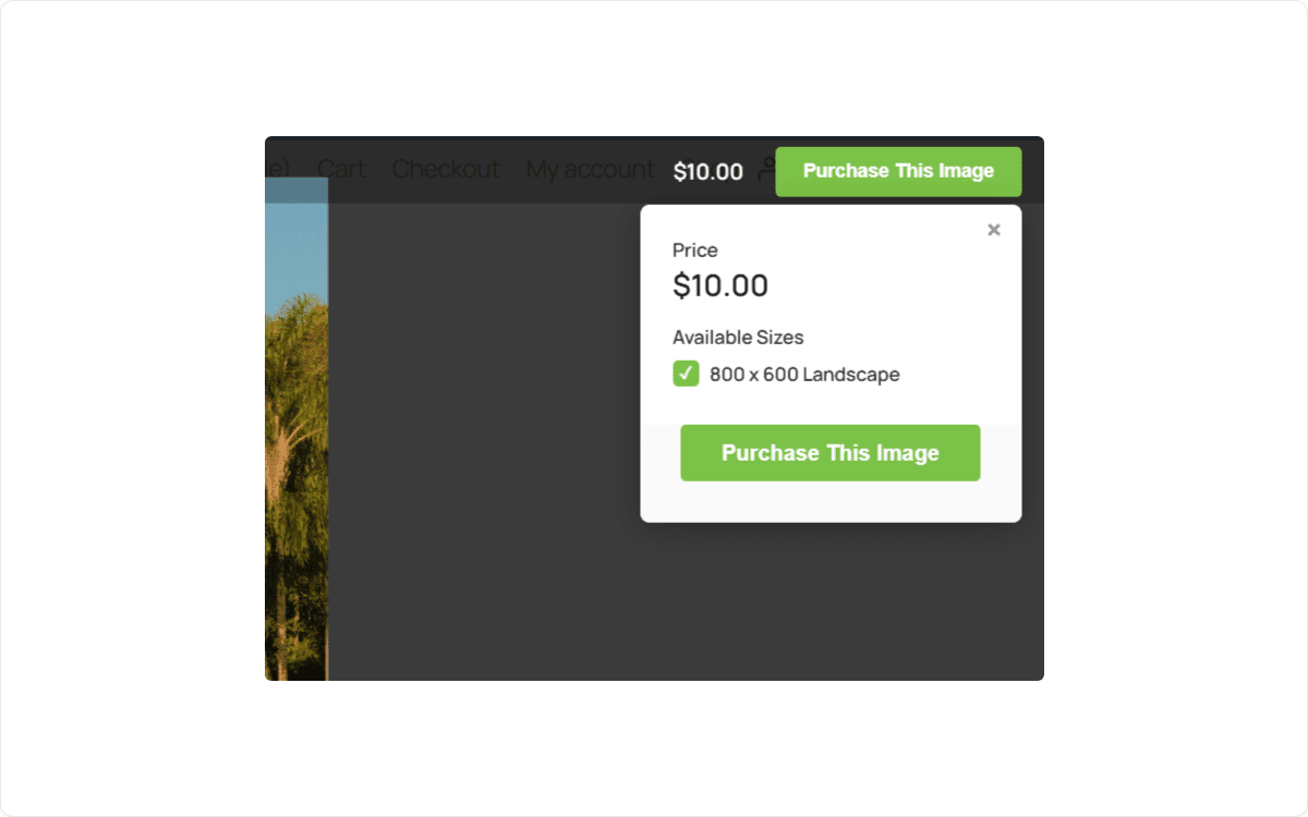 Purchase This Image popup showing price and download size on the gallery front end