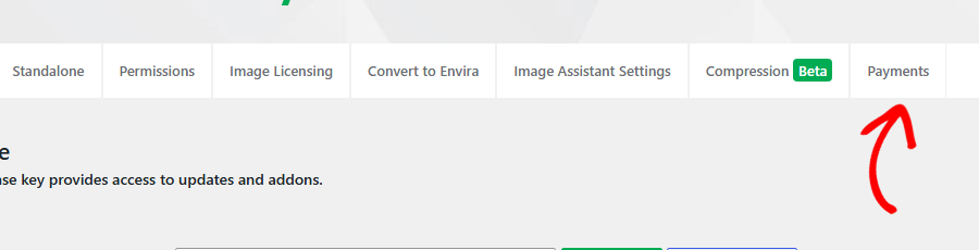 Top navigation bar with tabs: Standalone, Permissions, Image Licensing, Convert to Envira, Image Assistant Settings, Compression Beta, Payments.