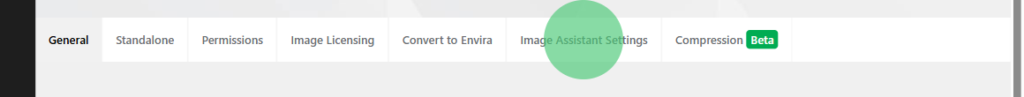 Screenshot of a horizontal settings tab bar with tabs General, Standalone, Permissions, Image Licensing, Convert to Envira, Image Assistant Settings, and Compression (Beta); a green circle overlays the Image Assistant Settings tab.