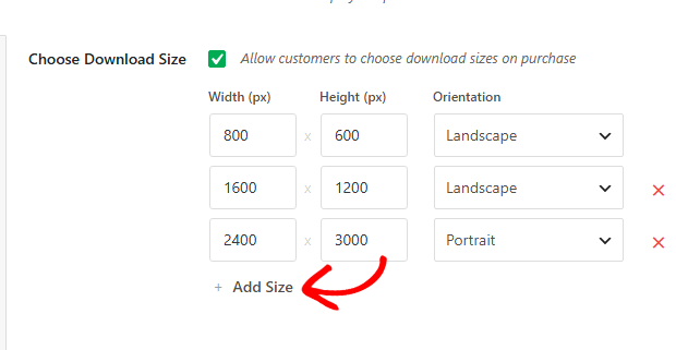 UI panel for choosing download sizes with three presets: 800×600 (landscape), 1600×1200 (landscape), 2400×3000 (portrait); includes 'Add Size' link and a checked option to allow size selection.