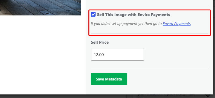 UI panel to sell image with Envira Payments; checkbox checked, price 12.00, Save Metadata button visible.
