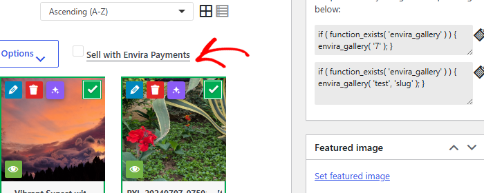 Envira Gallery editor showing two image thumbnails with action icons and selection indicators (green check marks).