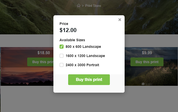 Modal: Print price .00 with selectable sizes: 800x600 Landscape (selected), 1600x1200 Landscape, 2400x3000 Portrait. Big green 'Buy this print' button.