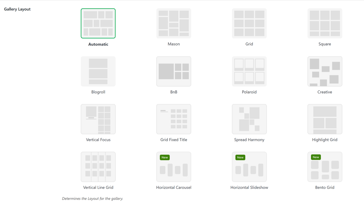 Envira Gallery layout picker in the Configuration tab - Envira Gallery The Envira Gallery layout picker in the Configuration tab showing the full set of gallery layouts
