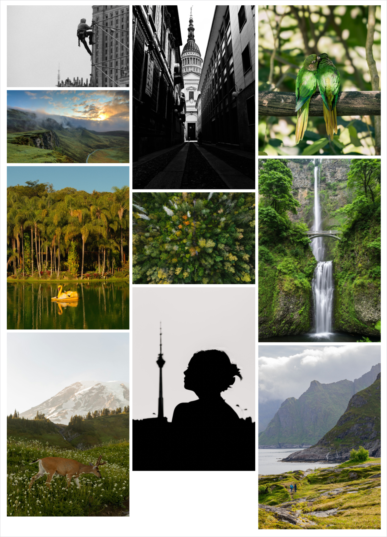 Envira Gallery Mason layout example - Envira Gallery Envira Gallery Mason layout with three equal width columns of photos at their own heights and an uneven bottom edge