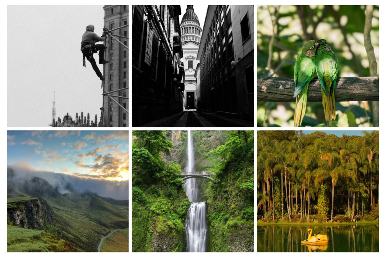 Envira Gallery Square layout example - Envira Gallery Envira Gallery Square layout with every photo center cropped to an identical square tile