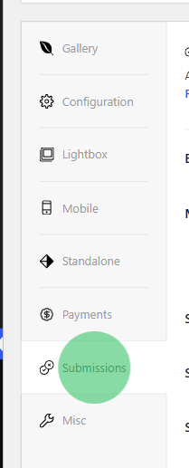 Vertical left navigation panel with menu items: Gallery, Configuration, Lightbox, Mobile, Standalone, Payments, Submissions (green highlight), Misc.