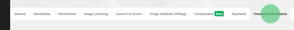 Horizontal navigation bar with tabs: General, Standalone, Permissions, Image Licensing, Convert to Envira, Image Assistant Settings, Compression Beta, Payments, Frontend Submissions; dark left edge and a green circular action on the right.