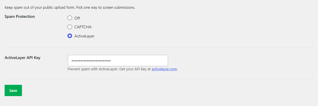 Spam protection: ActiveLayer selected; API key field masked; Save button.